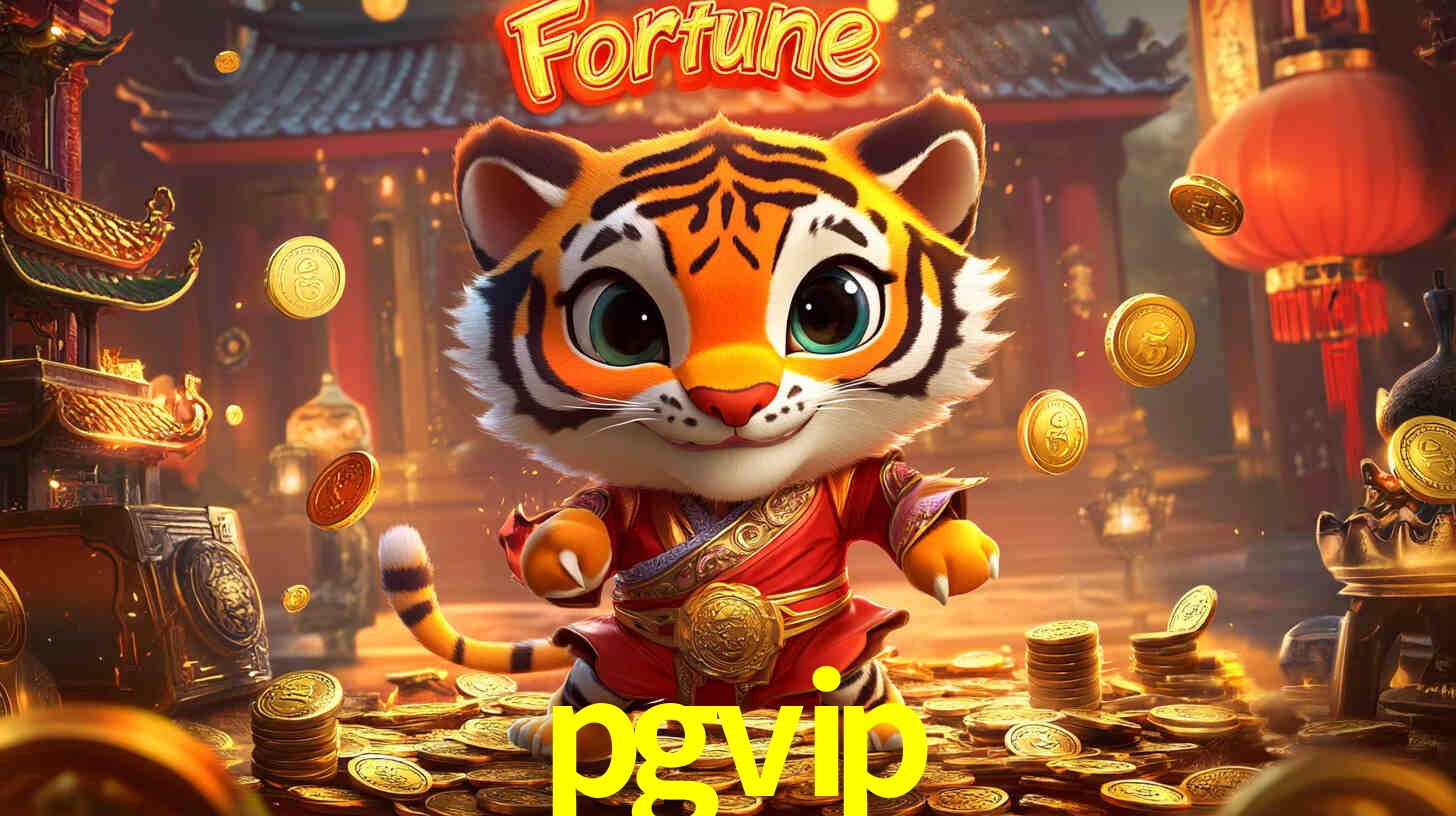 Segurança App pgvip
