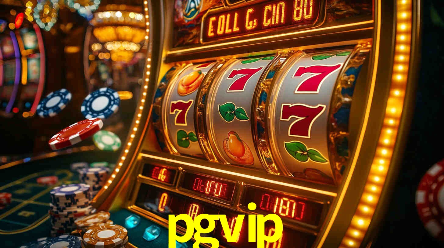 Premium Interface pgvip
