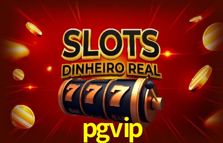 Suporte VIP pgvip
