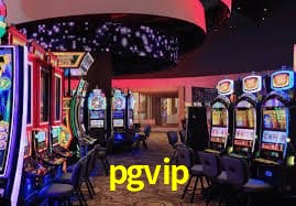 Sistema VIP pgvip